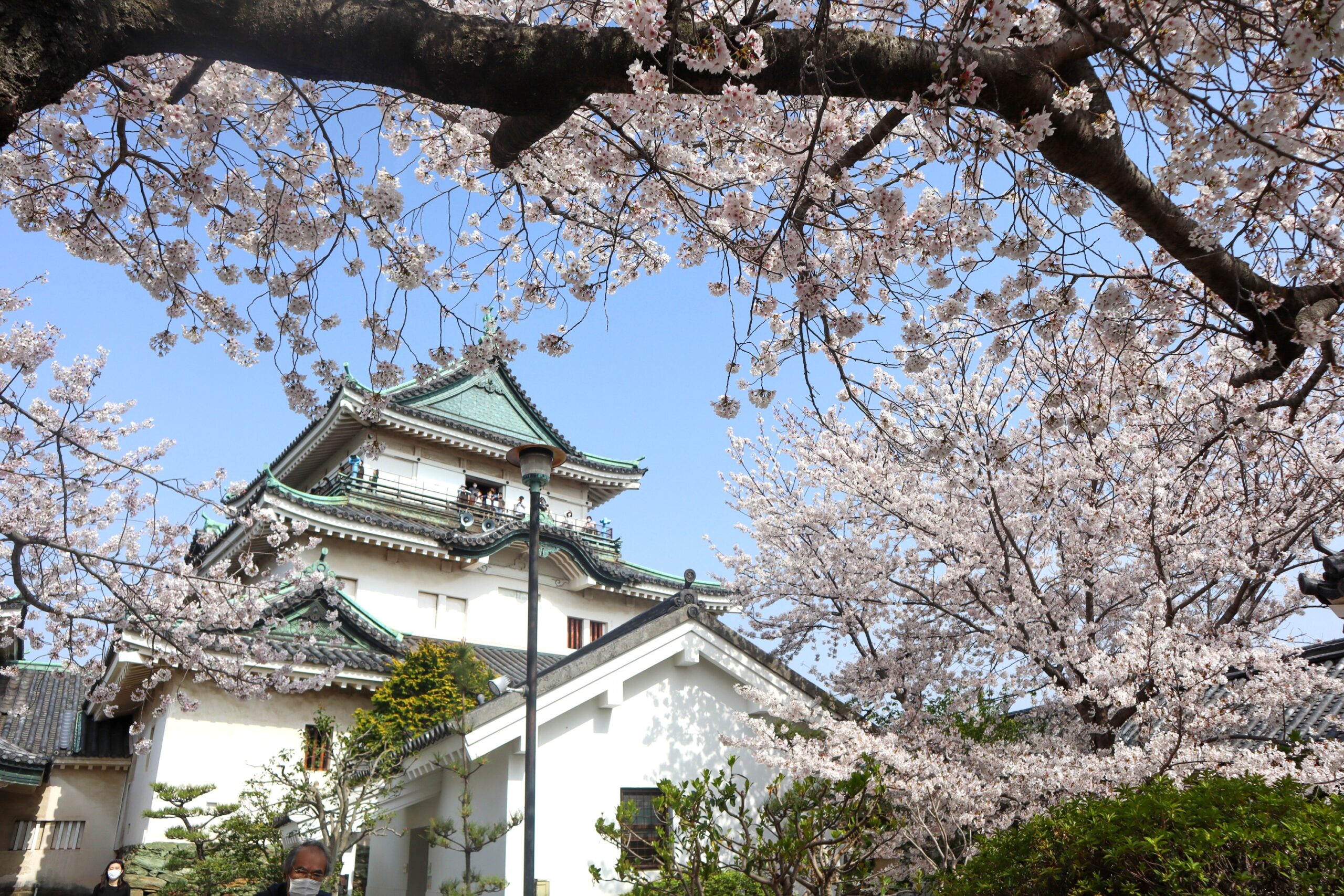 和歌山城近郊