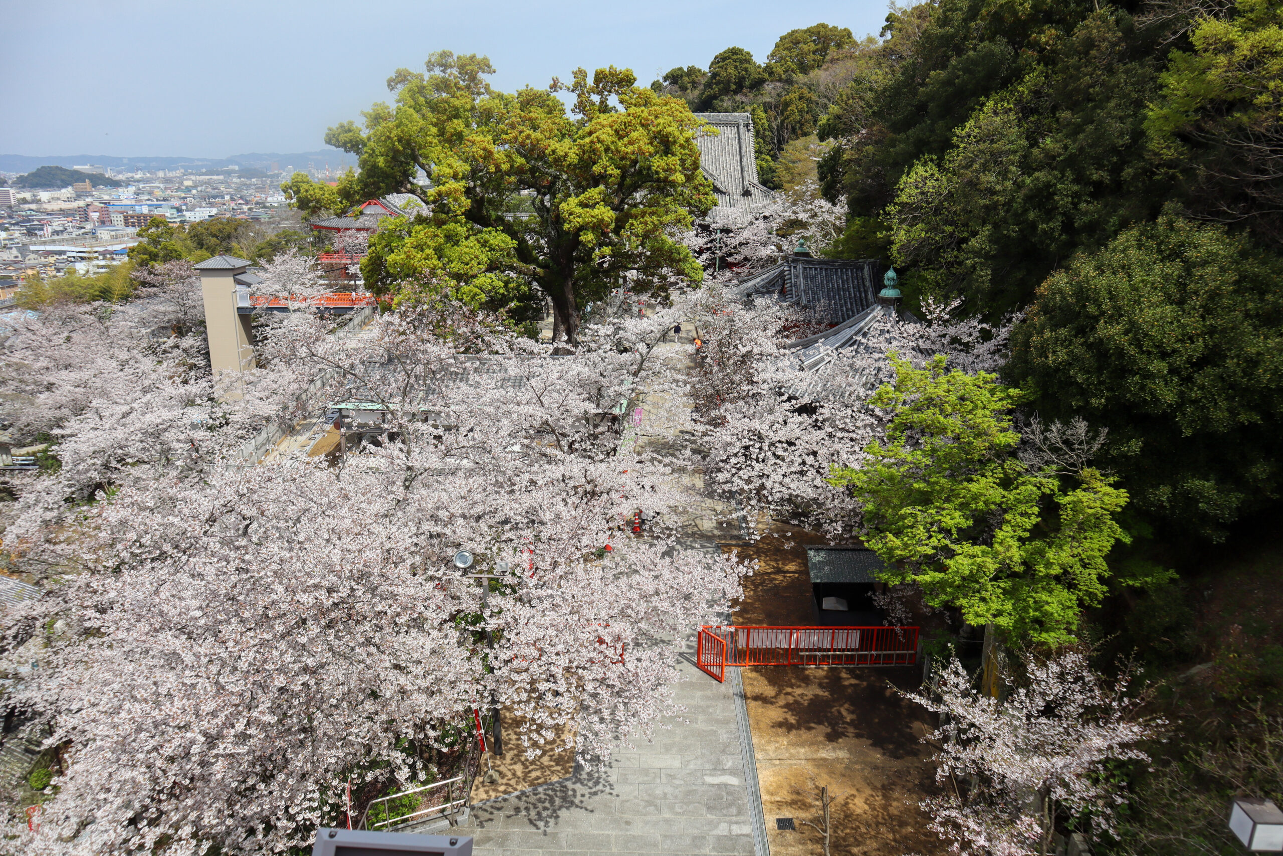 千手十一面観音像の祀られている建物の3階から見下ろす景色の様子。